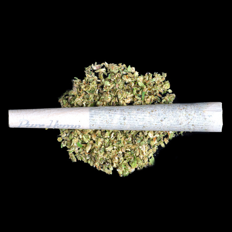 Jealousy x Macmosa DIAMONDBACK Gorilla Infused Pre Roll