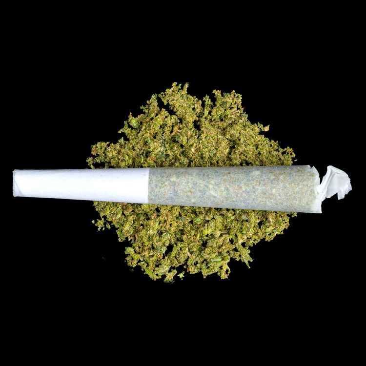 Orange Fruit Snax Pine Cones Prerolls
