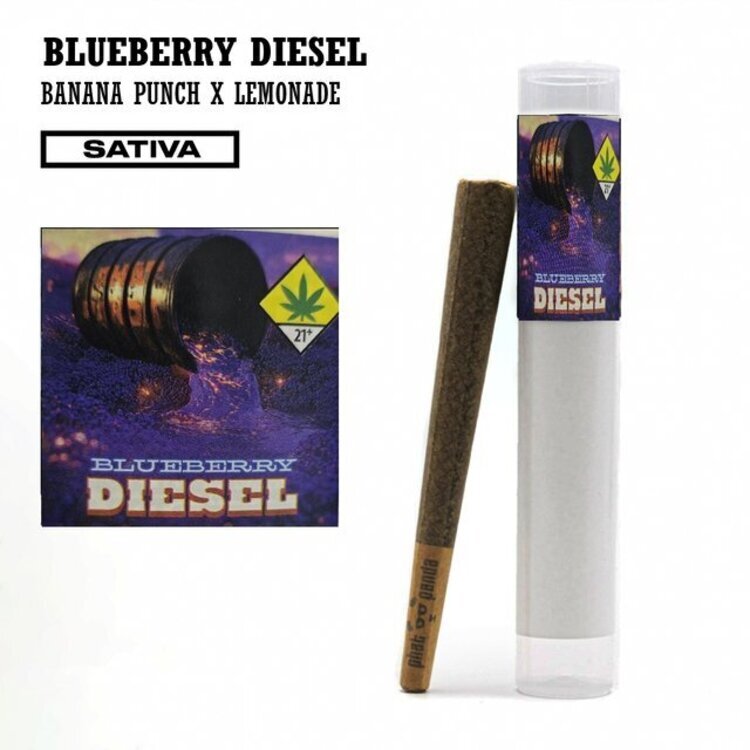 Blueberry Diesel Pre Roll
