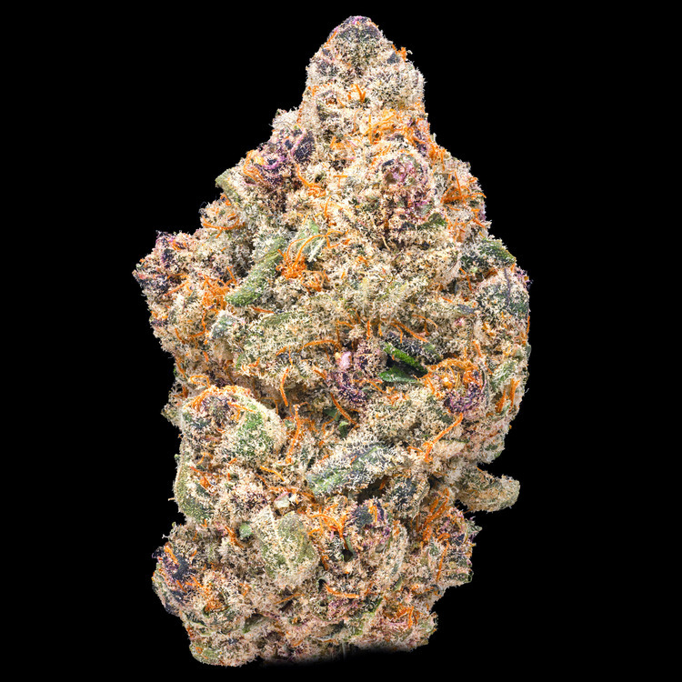 Cherry Cheese Danish Legacy Reserve Flower