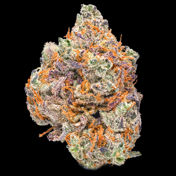 Mimosa x Blueberry Pancakes Legacy Reserve Flower