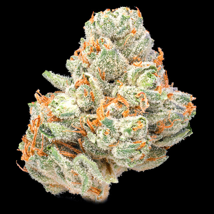 Colorado Chem