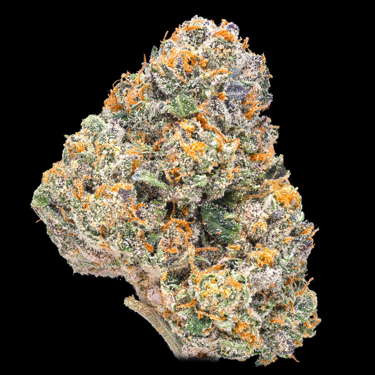 Motor Breath