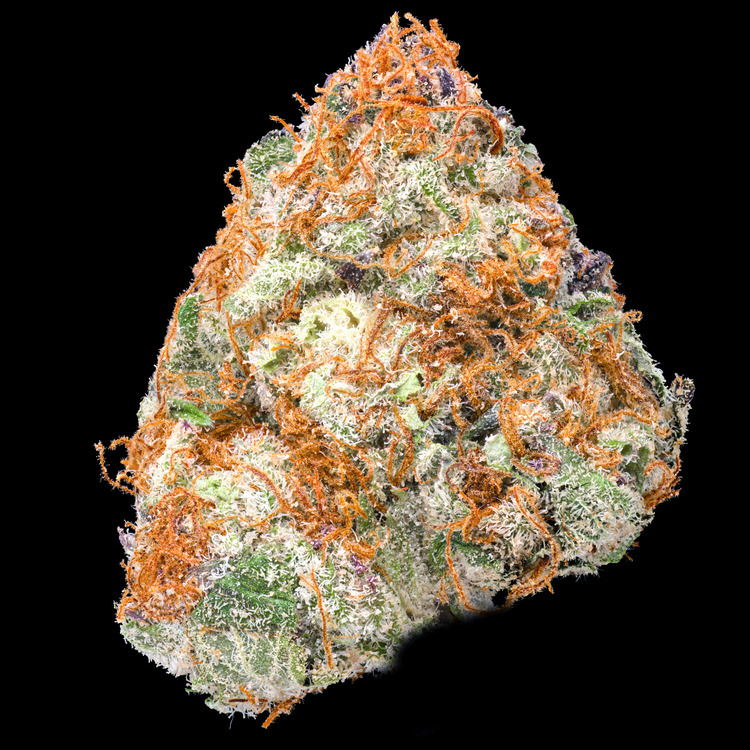 Mimosa