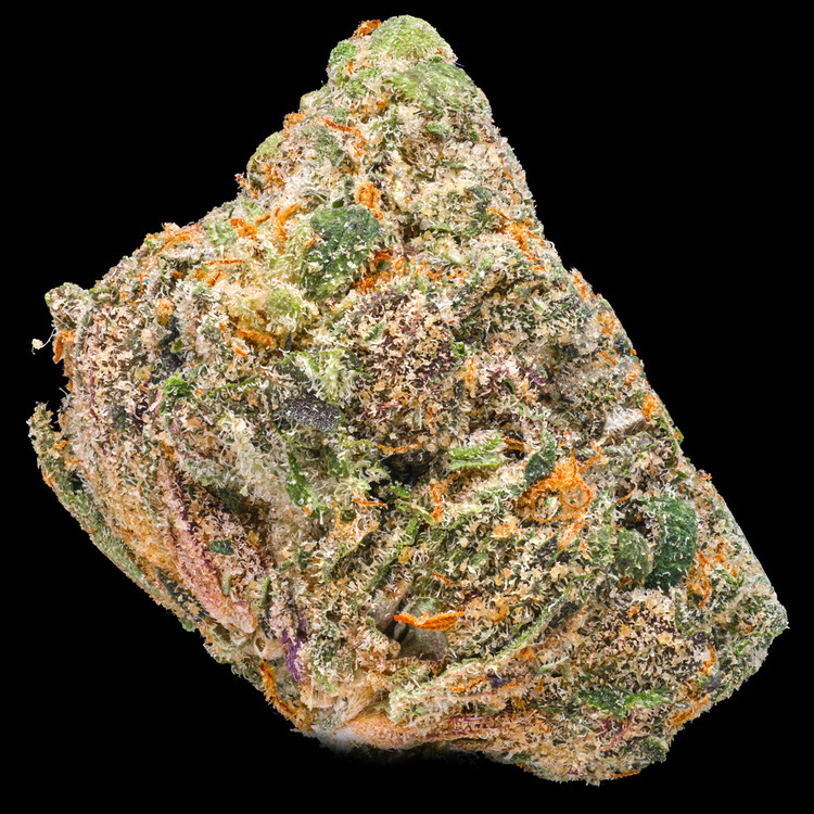 White Truffle