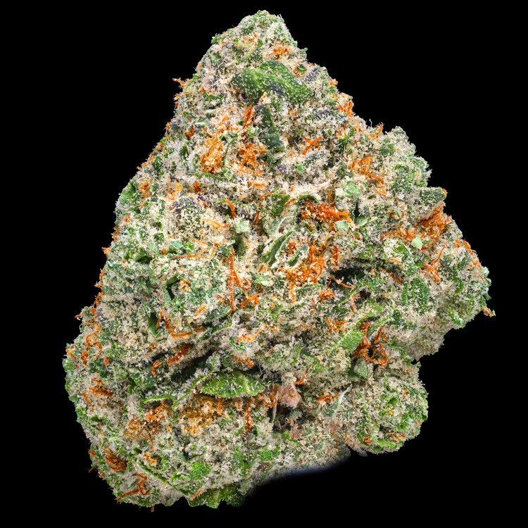 Octane Mintz