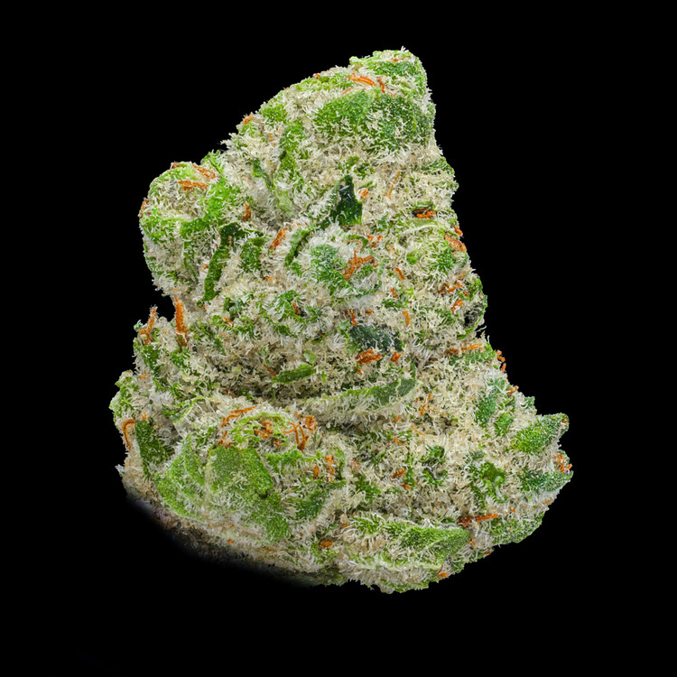 GG #4 BB Buds
