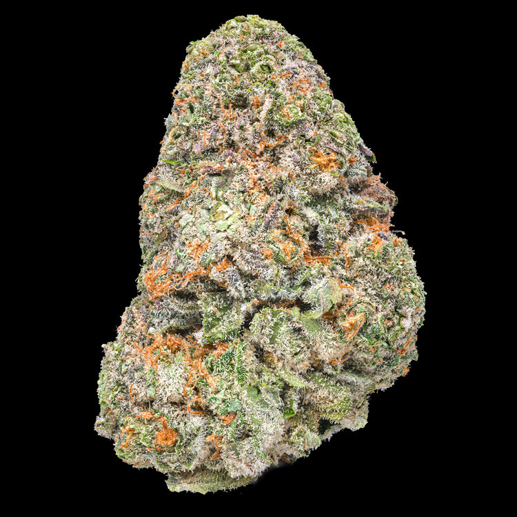 Blueberry Cupcake
