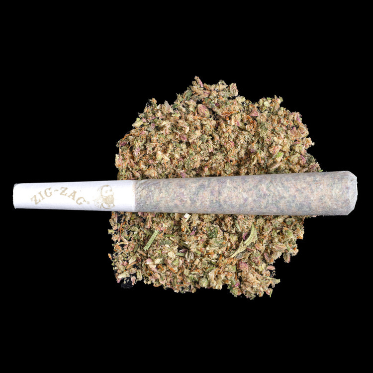 Mint Chocolate Chip Red Label Prerolls