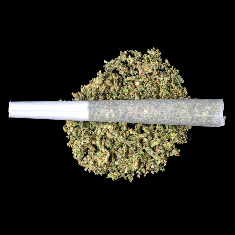 Hallie Berry Big Momma Preroll