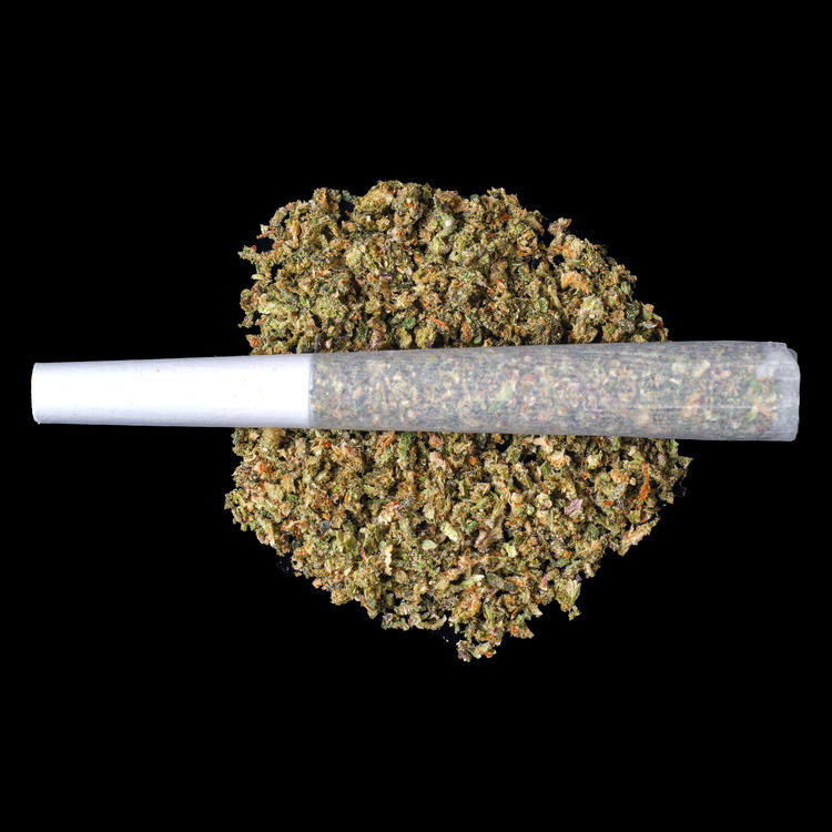 Cheetah Piss Prerolls