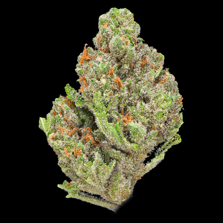 Gelato Sunset