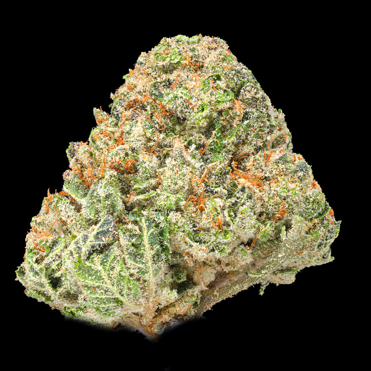 Purple Lime Pop