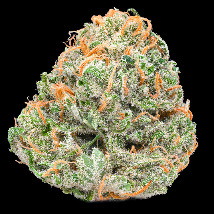 CBD 2:1 Lemon Cheesecake