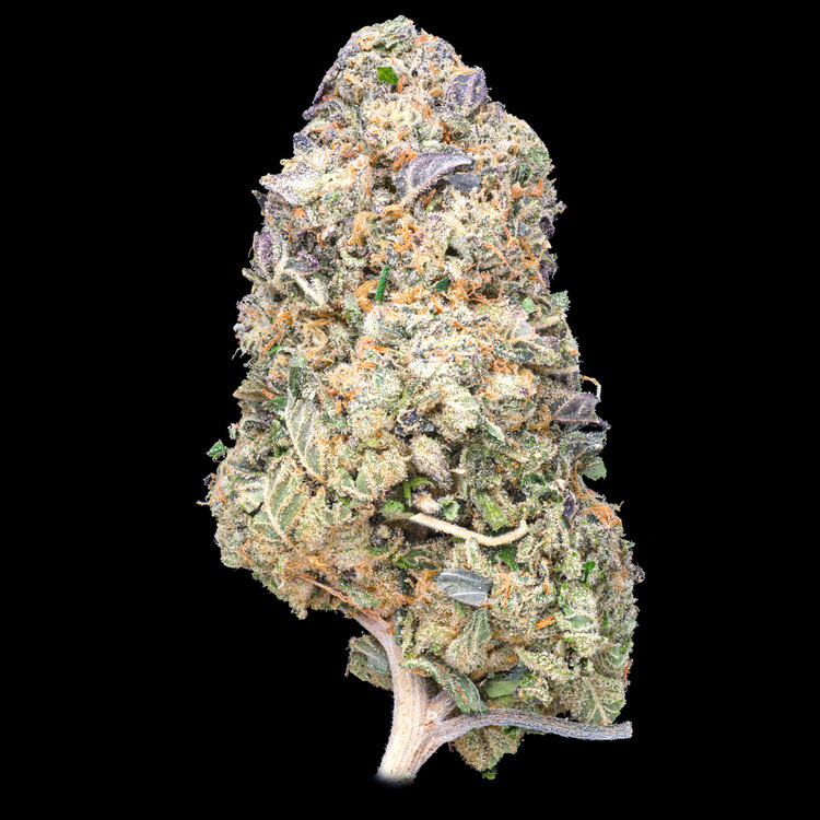 Gelato x Dosidos